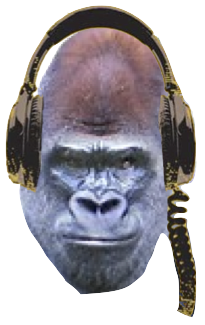 Big Poppa, the gorilla-in-headphones logo of 50 Odd Years