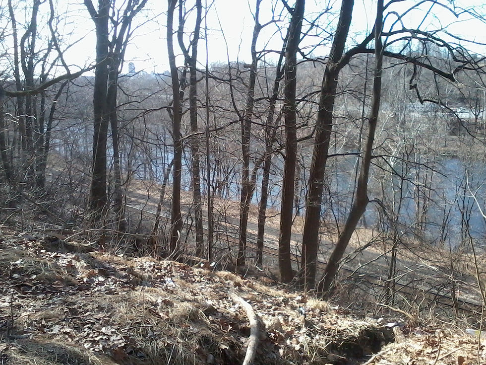 View through bare winter trees down a slope to a railroad line and the Lehigh River