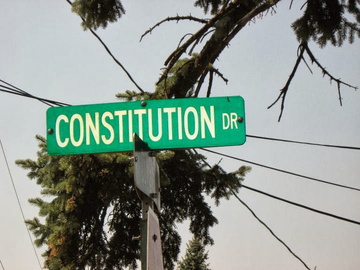 Street sign reading Constitution Dr against pine branches and overhead wires