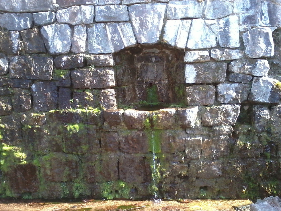 Water trickling from a recessed opening in a moss-covered stone retaining wall