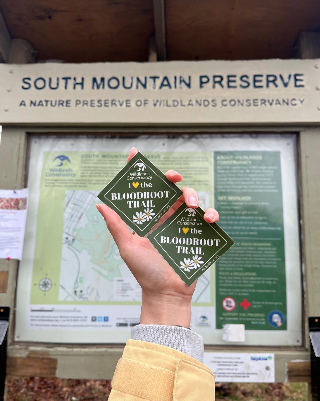 South Mountain Preserve: 440 Acres of Forest Therapy in the Heart of the Valley