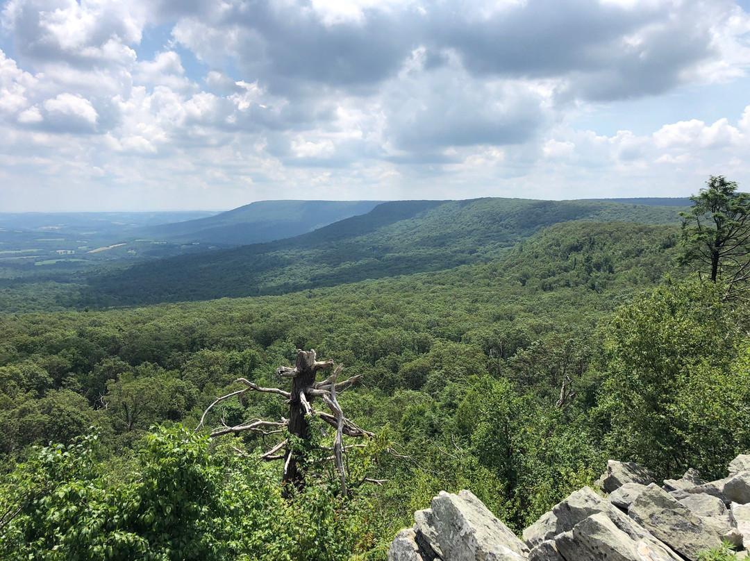 Eighteen Thousand Raptors: Fall Migration at Hawk Mountain Sanctuary