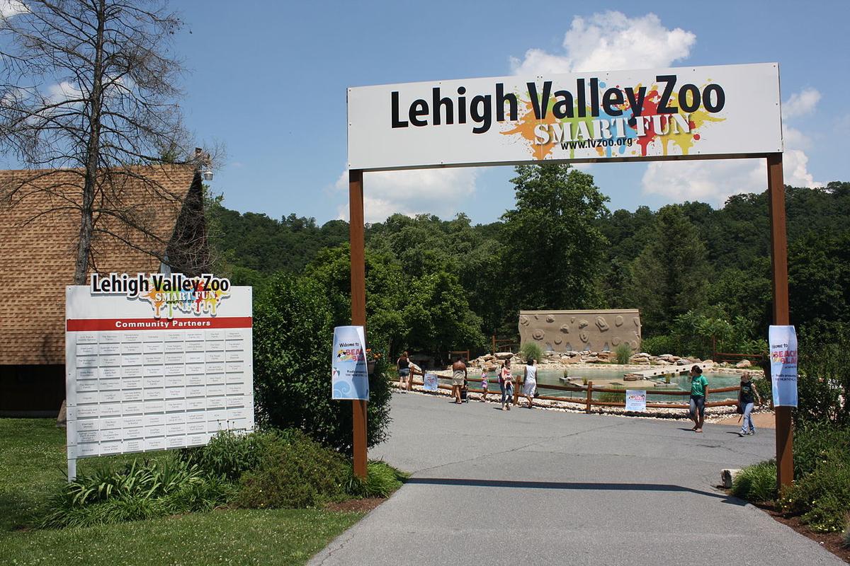 A Day at the Lehigh Valley Zoo: Giraffes, Penguins, and River Otters in the Hills of Schnecksville