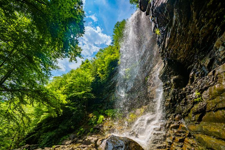 Into the Gorge: Your Guide to Hiking Lehigh Gorge State Park