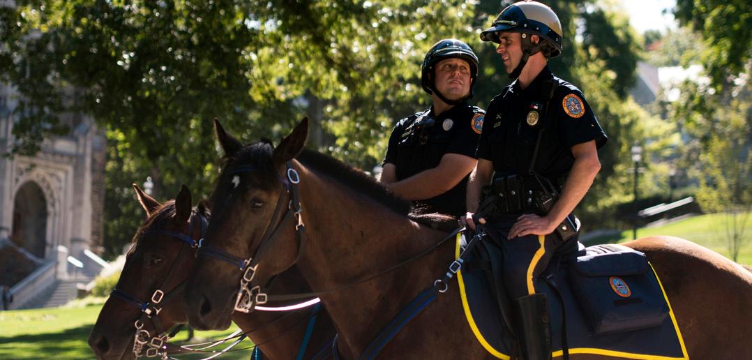 Hooves on Patrol: The Return of Bethlehem's Mounted Police Unit