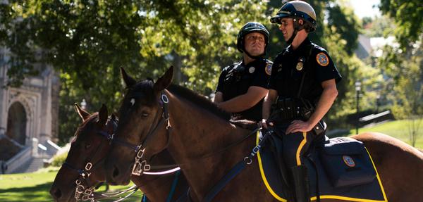 Hooves on Patrol: The Return of Bethlehem's Mounted Police Unit